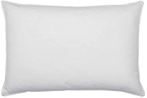 LASER WINGS Luxurious 2 Piece Microfibre Cotton Pillow Filler - 17"x27", White